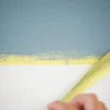Frog Tape Painters Tape - Delicate Surface 36mm x 41.1m - Image 3
