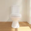 Villeroy & Boch Hommage Close Couple WC - Image 5