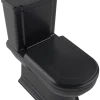 Villeroy & Boch Hommage Close Couple WC - Image 7
